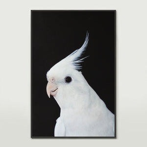 White Cockatiel Canvas Print
