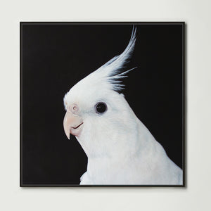 White Cockatiel (Square) Canvas Print