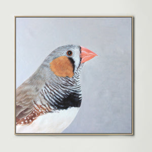 SALE: Finch, Ex-Rental Original Oil on Canvas Incl. Frame (96x96cm)