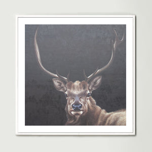 Elk (Square) Art Print